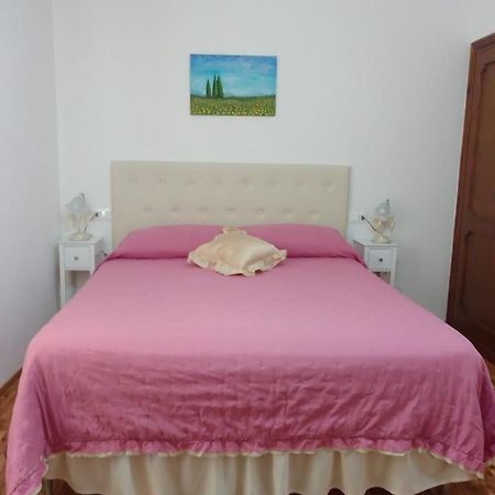 Dalla Carla In Toscana Monte San Savino Exterior foto